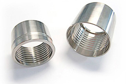 Stainless Steel clamp ferrule